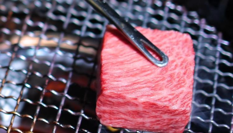 ºζ ̽רƵĺʽOmakase