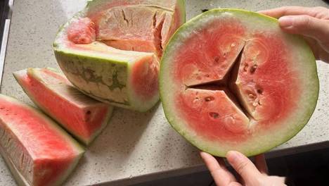 �����ϲ��ù⿿�ģ��μ���4��С���ϣ��δζ��������