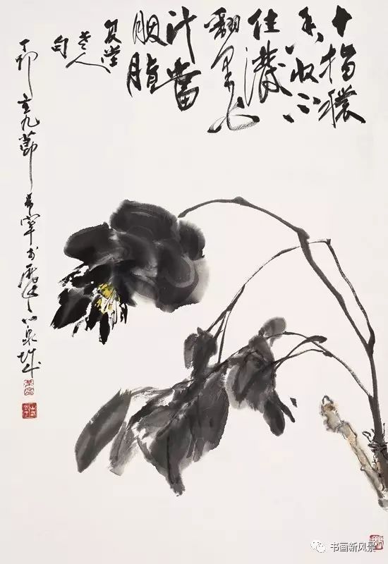 国画名家于希宁：精品花鸟20幅！-澳洲亿忆网