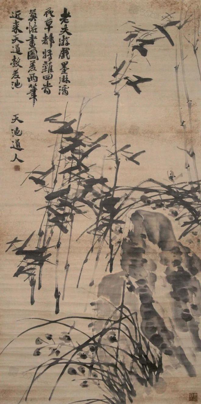 徐渭写竹：无拘无束墨气淋漓-澳洲亿忆网